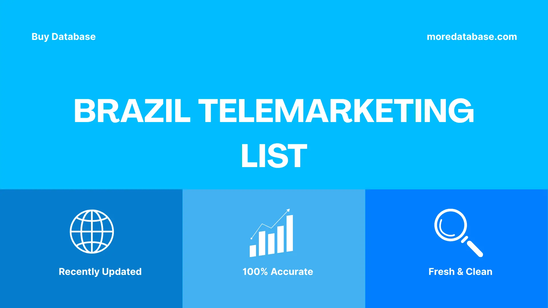 Brazil Telemarketing List